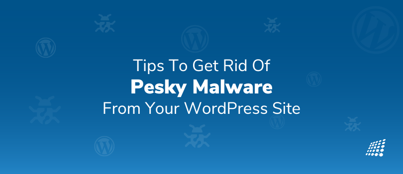 Tips to Get Rid of Pesky Malware from your WordPress Site